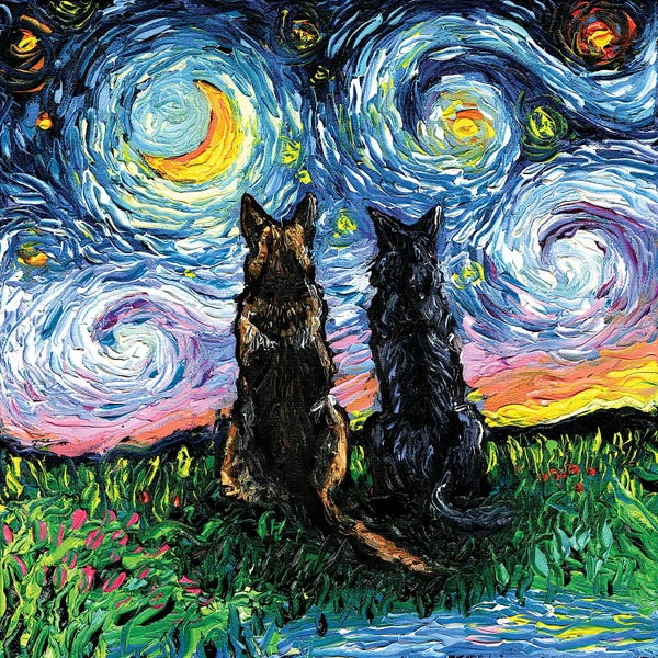 Starry Night Collection: Soulmates by Aja Trier