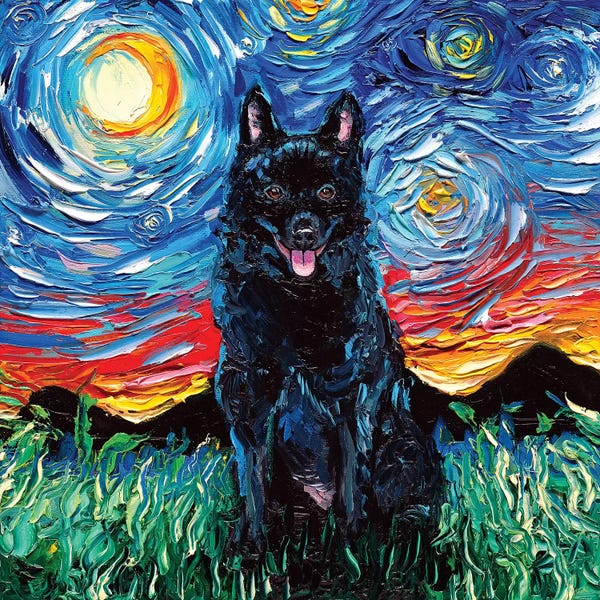 Starry Night Collection: Schipperke Night by Aja Trier