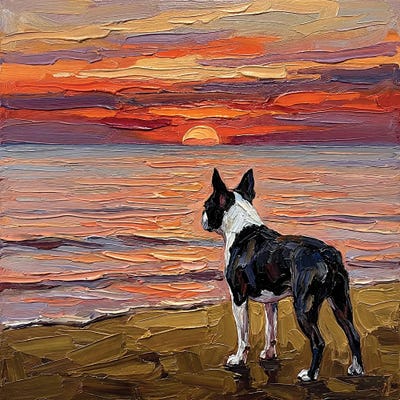 Tan Art - Canvas Prints: Beach Night - Boston Terrier by Aja Trier
