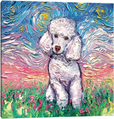 White Poodle Night Canvas Art Print - Best Selling Dog Art