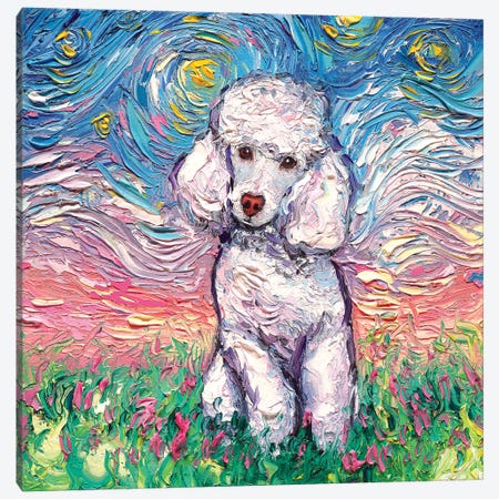 White Poodle Night Canvas Print #AJT85} by Aja Trier Canvas Art