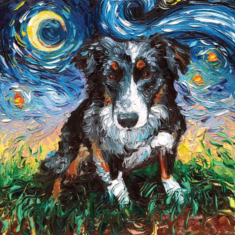 Australian Shepherd Night