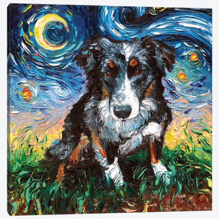 Australian Shepherd Night Canvas Print #AJT92} by Aja Trier Canvas Art