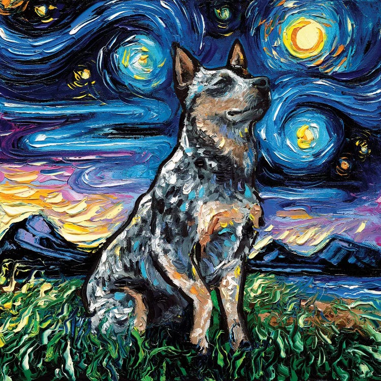 Blue Heeler Night