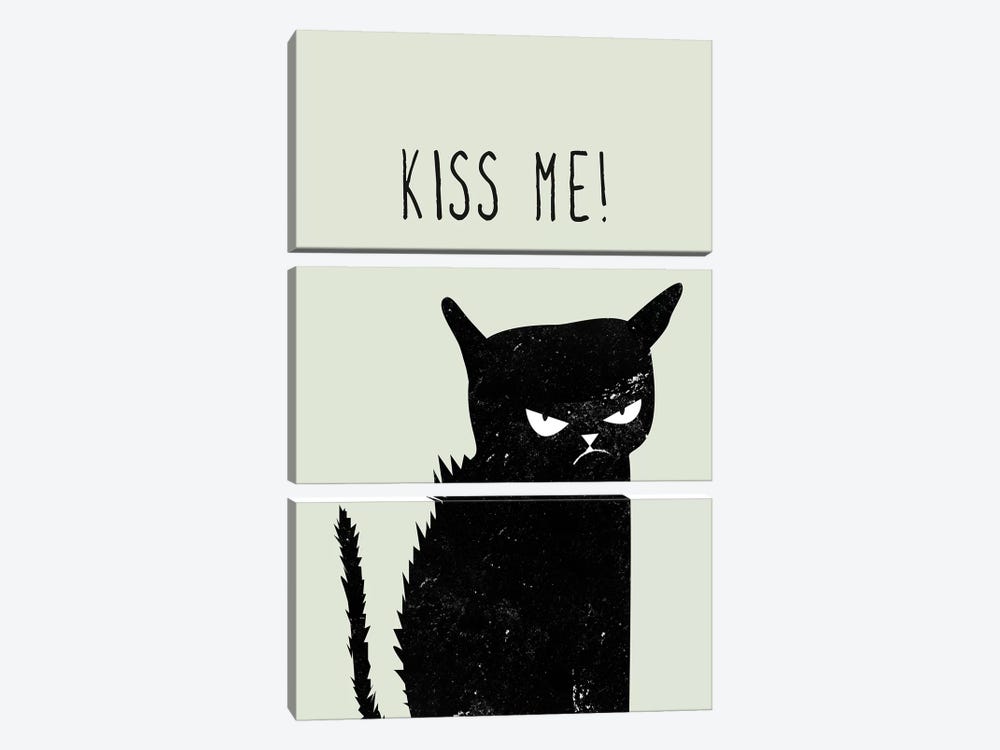 Kiss Me Cat by Amy & Kurt Berlin 3-piece Canvas Art