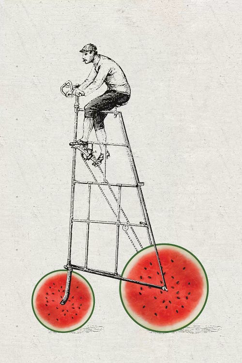 Melon Bike by Amy & Kurt Berlin wall art