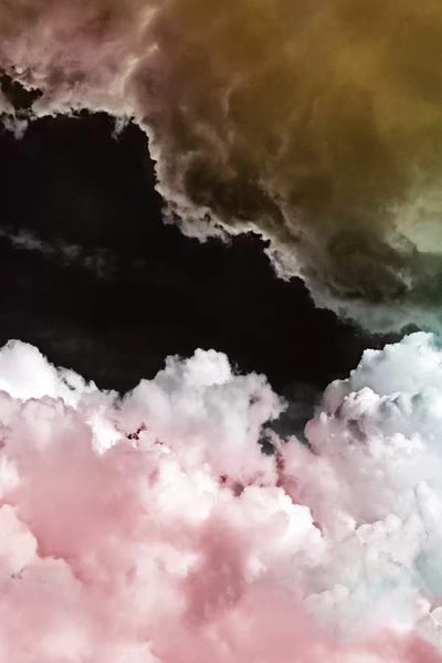 Pink Clouds by Amy & Kurt Berlin framed canvas print