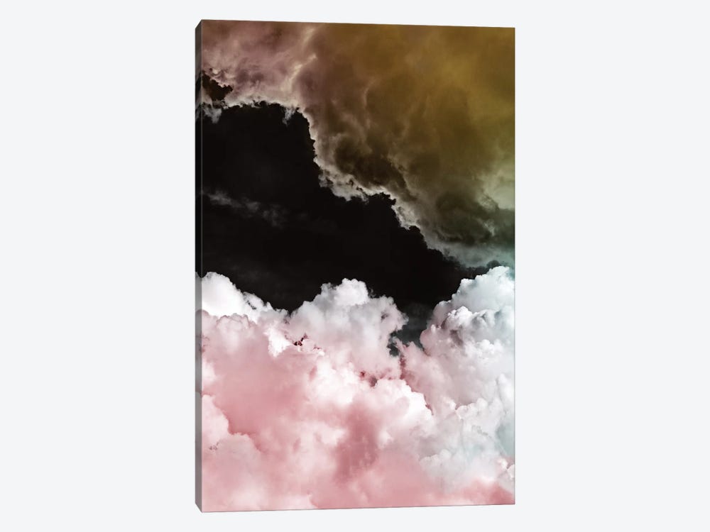 Pink Clouds by Amy & Kurt Berlin 1-piece Canvas Art Print