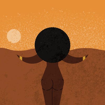 African Woman by Amer Karic metal wall art