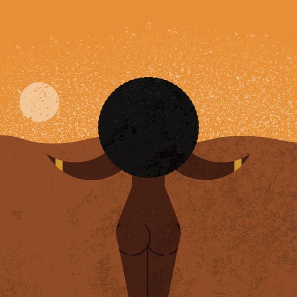 Amer Karic: African Woman by Amer Karic