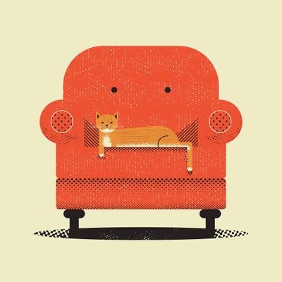 Lazy Cat by Amer Karic art print
