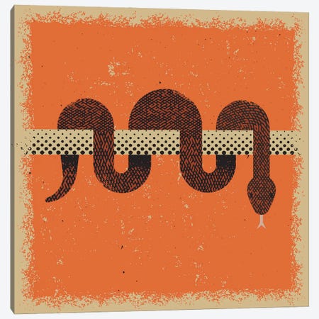 Snake Canvas Print #AKC48} by Amer Karic Canvas Art Print