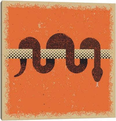 Snake Canvas Art Print - Amer Karic