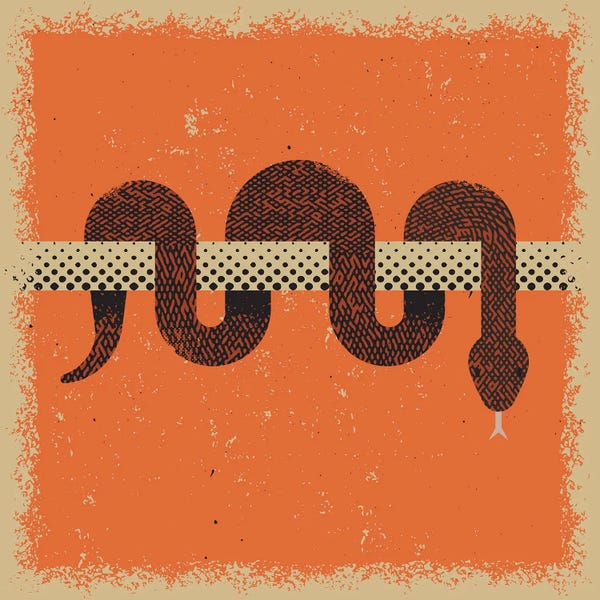 Mid-Century Modern Animals: Snake by Amer Karic