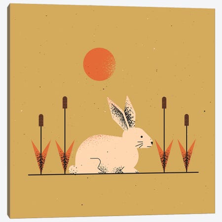 White Rabbit Canvas Print #AKC56} by Amer Karic Canvas Print