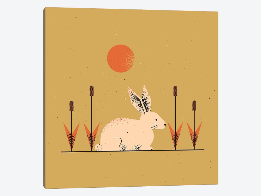 White Rabbit by Amer Karic 1-piece Canvas Wall Art