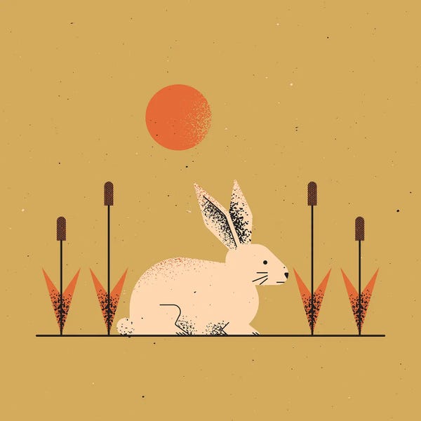 Mid-Century Modern Animals: White Rabbit by Amer Karic