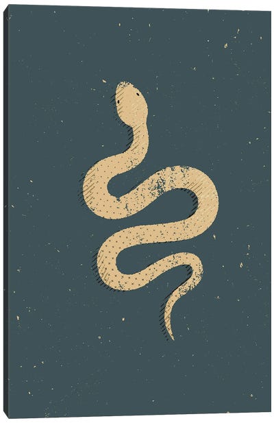 White Snake Canvas Art Print - Snake Art