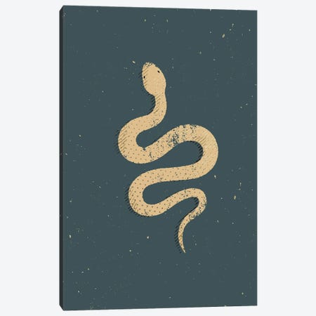 White Snake Canvas Print #AKC62} by Amer Karic Canvas Art Print