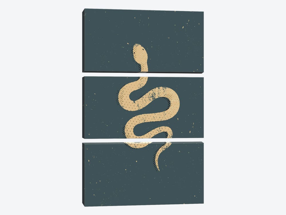 White Snake by Amer Karic 3-piece Canvas Art Print