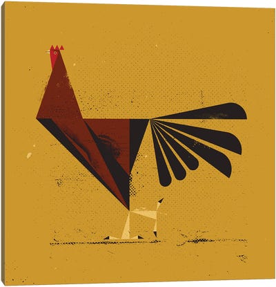 Rooster Canvas Art Print - Amer Karic