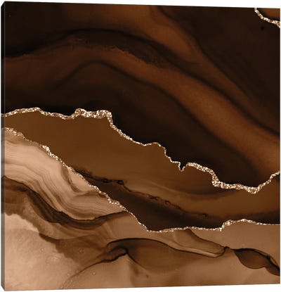 Brown Gold Agate Texture XII Canvas Art Print