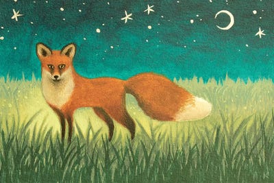 Night Fox by Antoinette Kelly canvas print
