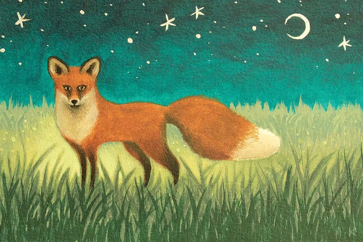 Night Fox