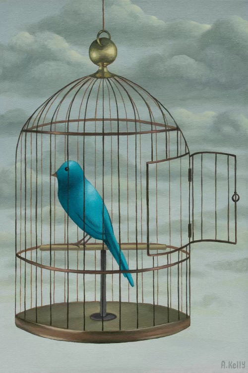 Blue Bird by Antoinette Kelly wall art