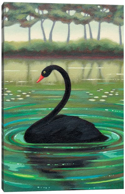 Black Swan Canvas Art Print - Pond Art
