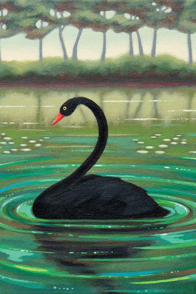 Antoinette Kelly: Black Swan by Antoinette Kelly