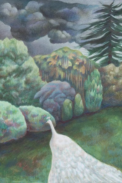 Antoinette Kelly: White Peacock by Antoinette Kelly