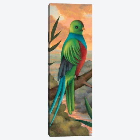 Exotic Bird Canvas Print #AKE7} by Antoinette Kelly Canvas Print