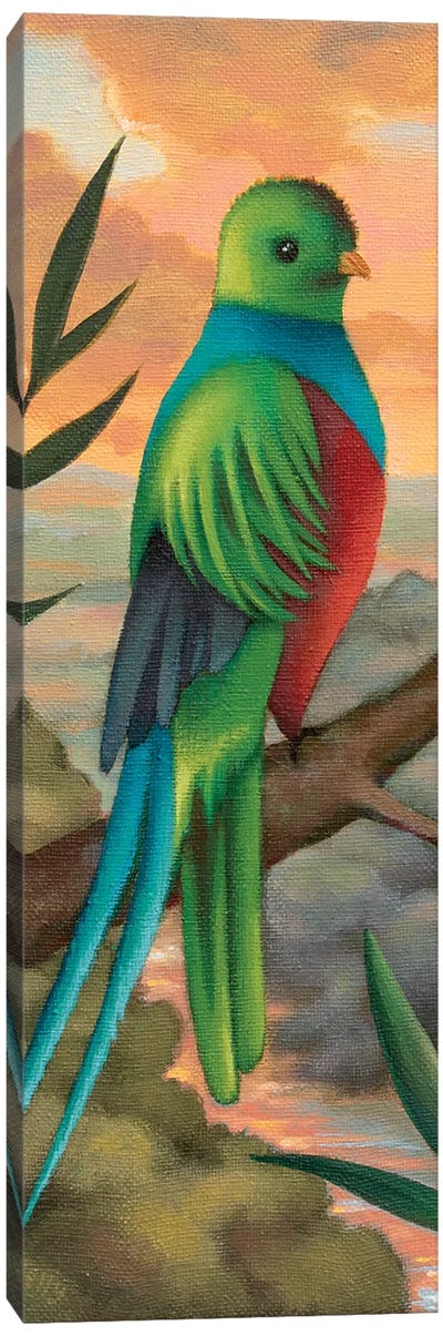 Exotic Bird Canvas Art Print - Antoinette Kelly