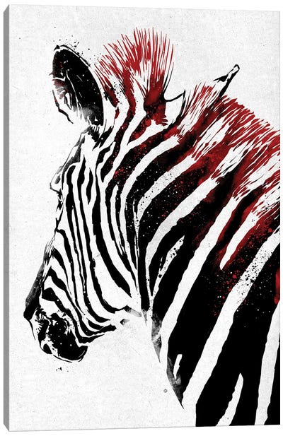 Zebra Canvas Art Print - Nikita Abakumov