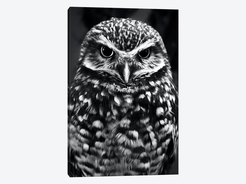 Owl by Nikita Abakumov 1-piece Canvas Print
