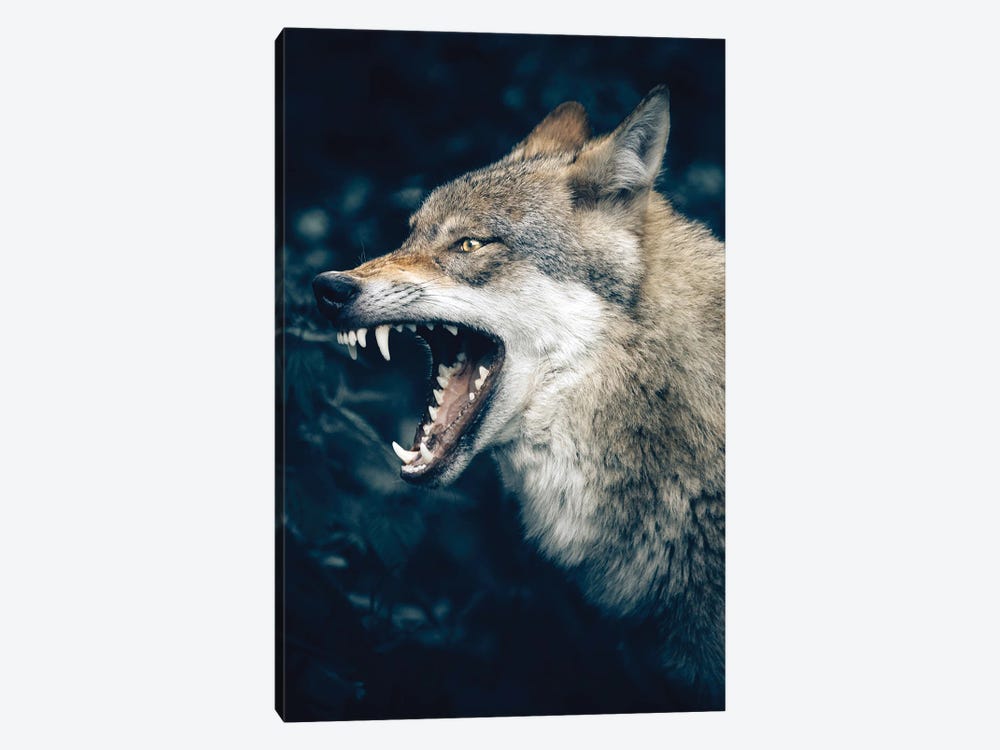 Wolf Roar by Nikita Abakumov 1-piece Art Print