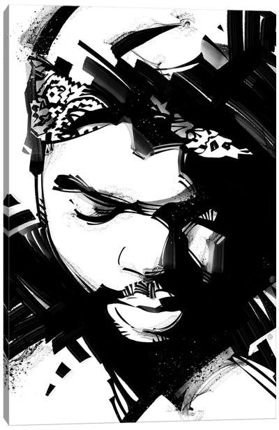Ice Cube II Canvas Art Print - Ice Cube