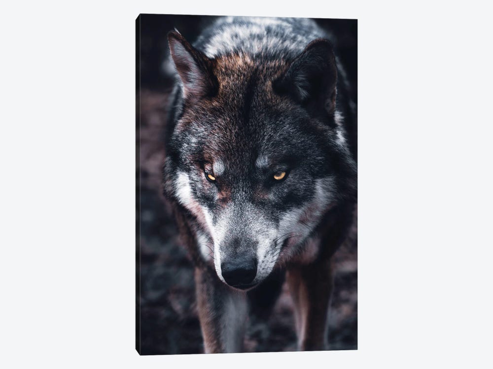 Wolf Hunts by Nikita Abakumov 1-piece Art Print