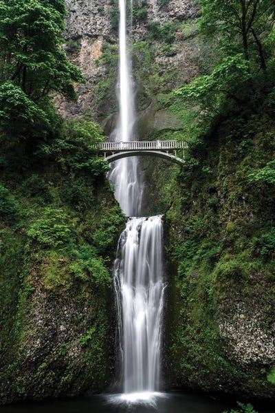 Oregon: Nature V by Nikita Abakumov