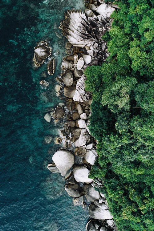 Nature LXIV