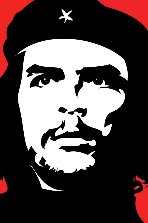 OMG Che by Nikita Abakumov wall art