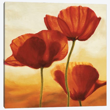 Poppies in Sunlight I Canvas Print #AKN2} by Andrea Kahn Art Print