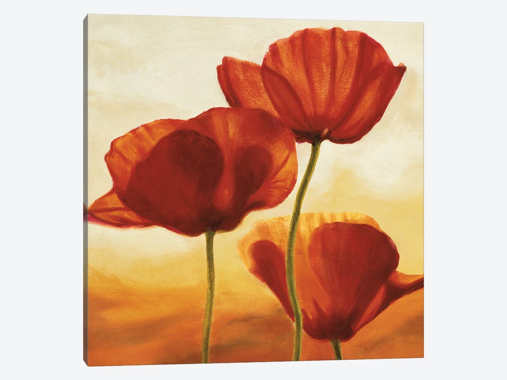 Poppies in Sunlight I by Andrea Kahn 1-piece Canvas Art