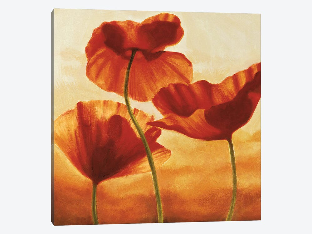 Poppies in Sunlight II 1-piece Canvas Print