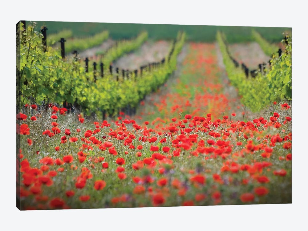 Red District by Ales Komovec 1-piece Canvas Wall Art
