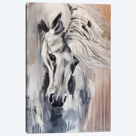 Horse Freedom Canvas Print #AKT11} by Aliaksandra Tsesarskaya Canvas Print