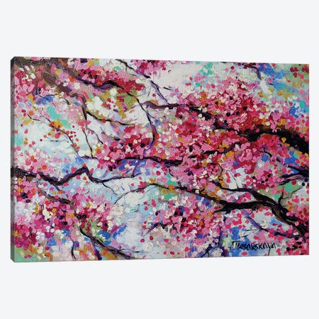 Cherry Blossom Canvas Print #AKT134} by Aliaksandra Tsesarskaya Canvas Wall Art