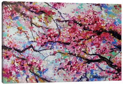 Cherry Blossom Canvas Art Print - Aliaksandra Tsesarskaya