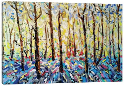 Winter Forest Canvas Art Print - Aliaksandra Tsesarskaya